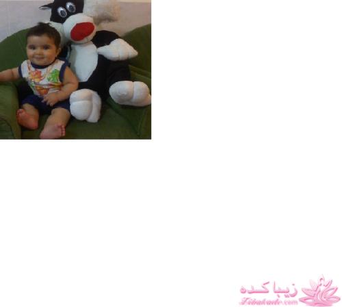 مردها بیشتر به خانهای خود توجه کنند